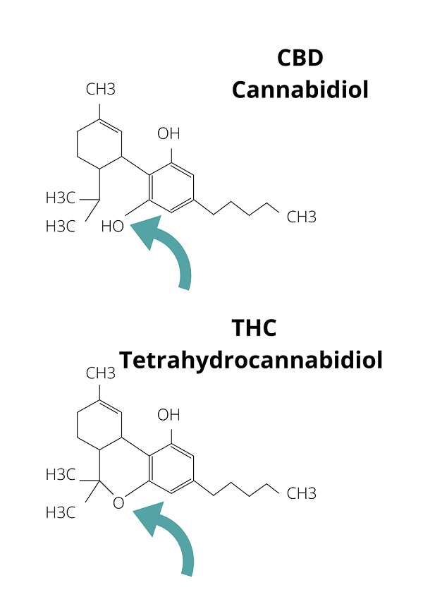 Zusammensatzung THC CBD