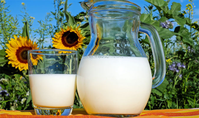 Milch Lebensmittel mit vielen Vitaminen