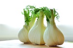 naturheilkunde fenchel heilpflanzen