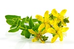 naturheilkunde johanniskraut heilpflanze 