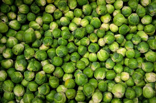 Rosenkohl